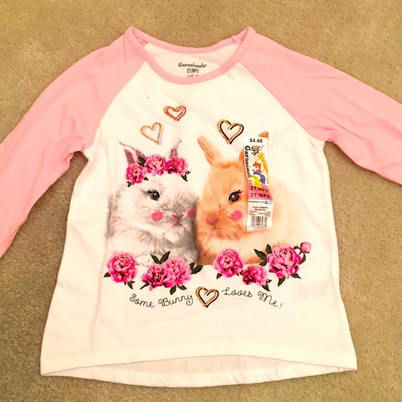 Garanimals Other - 5 for $10 ⭐️ Long Sleeve Tee Toddler